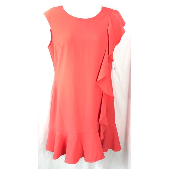 Eliza J Dresses & Skirts - Eliza J cap sleeve ruffle dress 7402